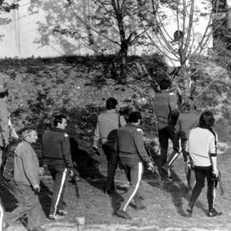 democracia terrorismo