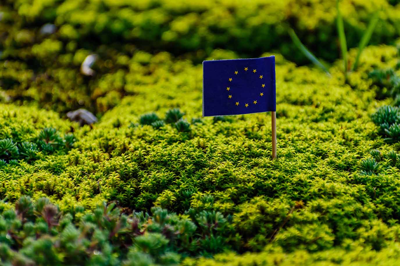 Europa recuerda al mundo cómo es una verdadera política climática