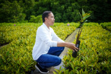 ¿Qué puede enseñar al mundo la democracia indonesia? G20 Summit in Indonesia