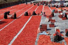 Situación económica de Egipto: desafíos, causas y perspectivas Daily Life In Luxor