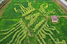 IA china frente a EEUU: cuando cuenta saber preguntar AI Chip Pattern in Hangzhou