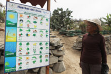 Capital de impacto, motor para el desarrollo sostenible World Farmers Day in Peru