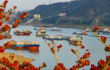 El retorno de la diplomacia económica Bustling Shipping On The Pearl River