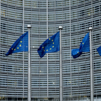 La UE y las sanciones en favor de los derechos humanos: una revisión