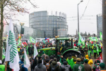 La respuesta comercial de la Unión Europea: Mercosur e India Farmers demonstrate against the EU-Mercosur agreement
