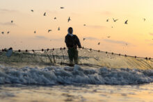 Economía azul: motor de cambio, integración y resiliencia regional The Fishing Profession In The City Of Port Said.