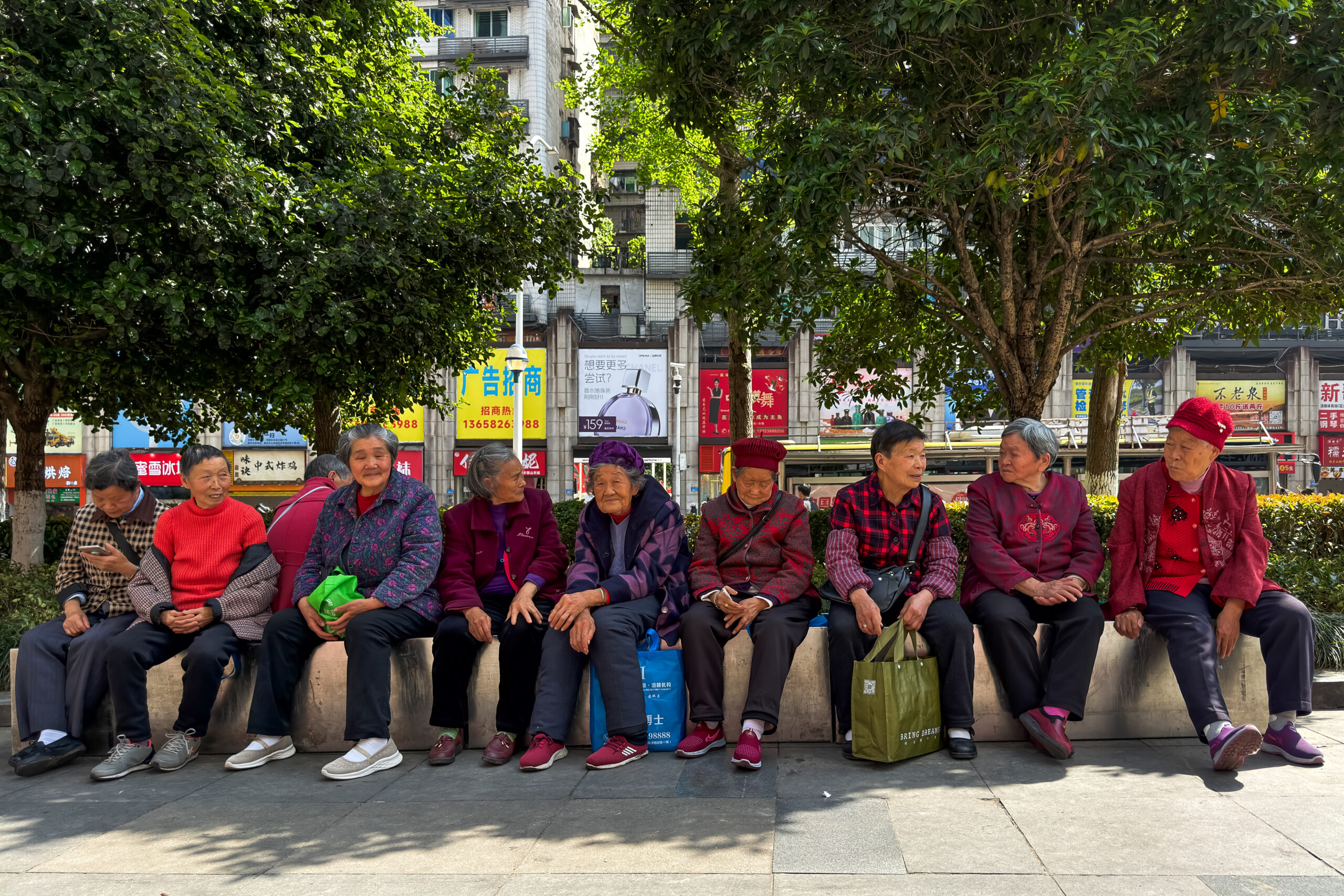 CHONGQING, CHINA - APRIL 4: Elderly women sit together along a street under the shade of trees, talking and resting on April 4, 2026, in Chongqing, China. Public street spaces serve as common gathering places for older women in Chinese cities for daily social interaction. (Photo by Cheng Xin/Getty Images)